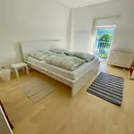 Rheinblick Pensión 3*