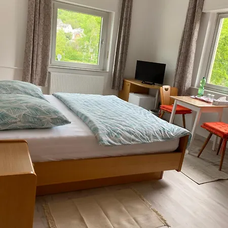 Rheinblick Guest house *