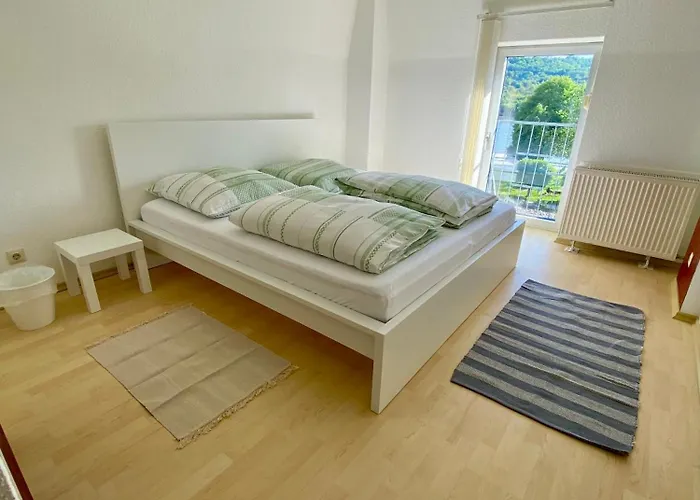 Rheinblick 招待所 3*