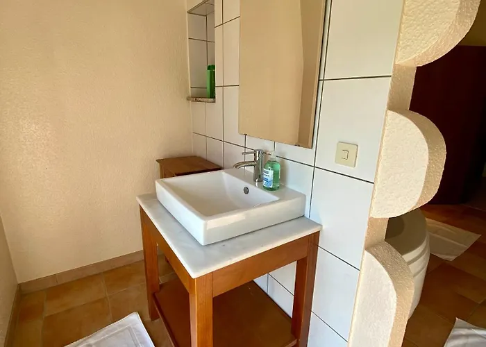 Rheinblick 布劳巴赫