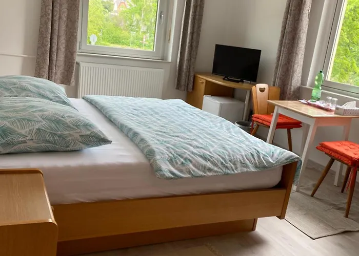 Rheinblick 招待所 3*